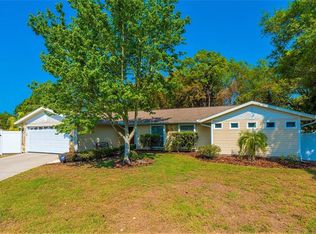 104 Shoreview Ln, Oldsmar, FL 34677