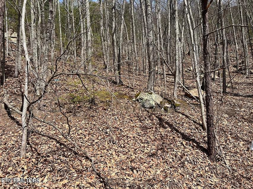 1st image of Clingmans Vw Lot 18