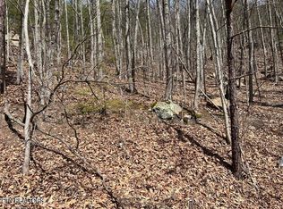Clingmans Vw Lot 18, Sevierville, TN 37876