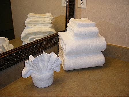 5th image of 3901 Sonoma Springs Ave APT 1112