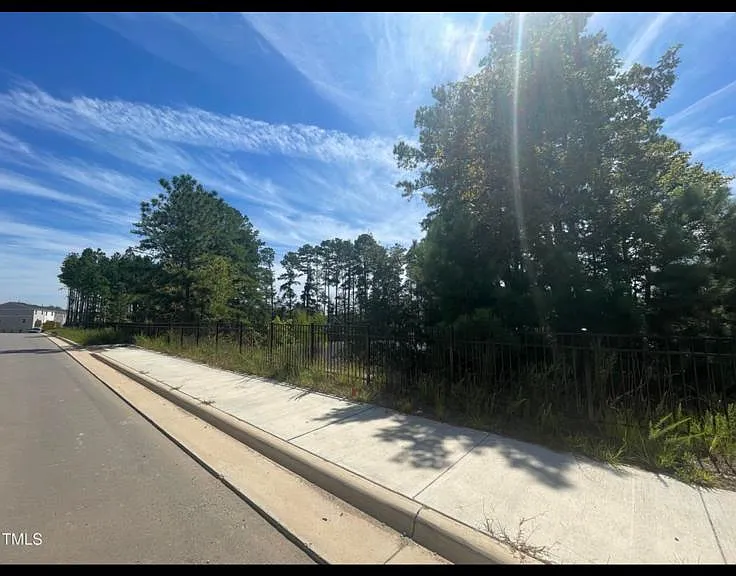 419 Carolina Springs Blvd — Photo 31