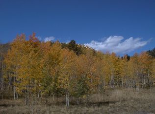 1950 Campfire Rd, Hartsel, CO 80449