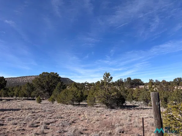 17 Morningstar Cir #17, Datil, NM 87821