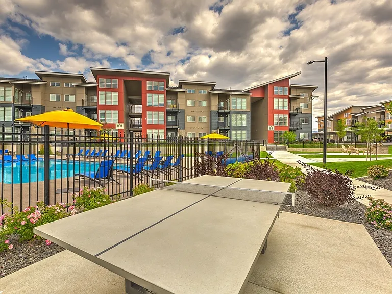 Ping Pong Table & Pool