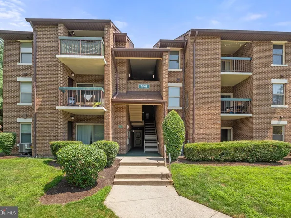 7905 Coriander Dr APT 303, Gaithersburg, MD 20879