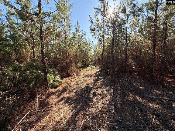 3rd image of Bff Ii 8 Brunson Teal Rd