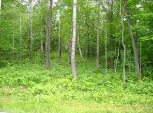 7 Lake Rd, Delanson, NY 12053