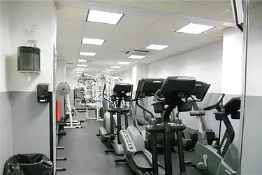 Rented by Bold New York