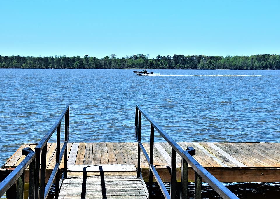 12 Rosalyn Rd, GA 39854 MLS 22801 Zillow