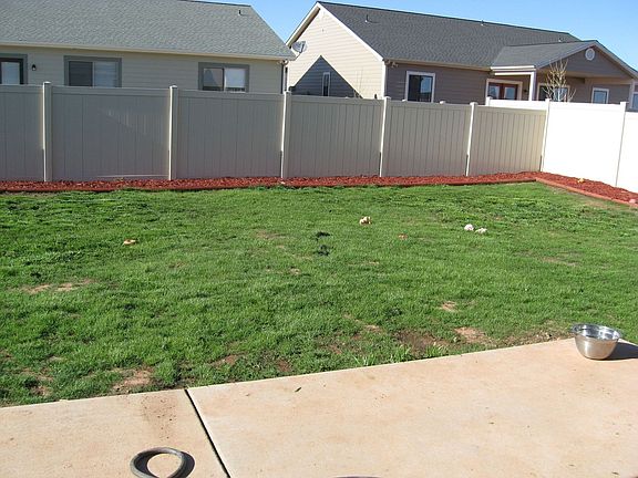 Backyard from back door