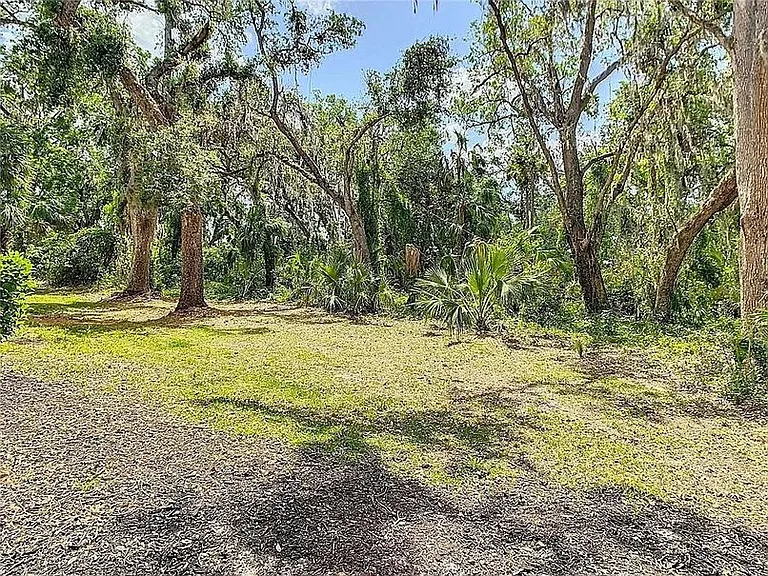 20216 Indian Rosewood Dr — Photo 4