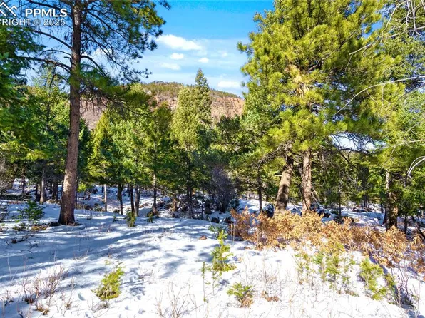 0 Rock Ridge Rd, Palmer Lake, CO 80133