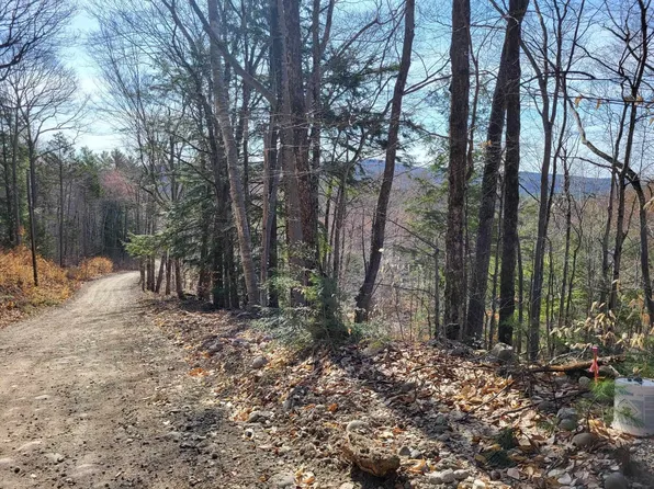 15-2-4-2 Brayman Road #15-2-4-2, Campton, NH 03223