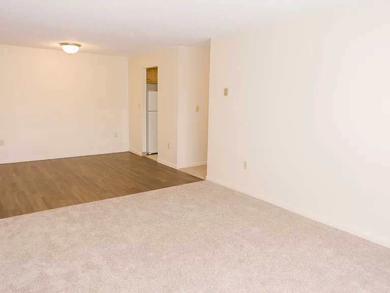 Wood Vinyl Flooring In Dining Room With A Carpeted View Of Living Room In Foreground.
