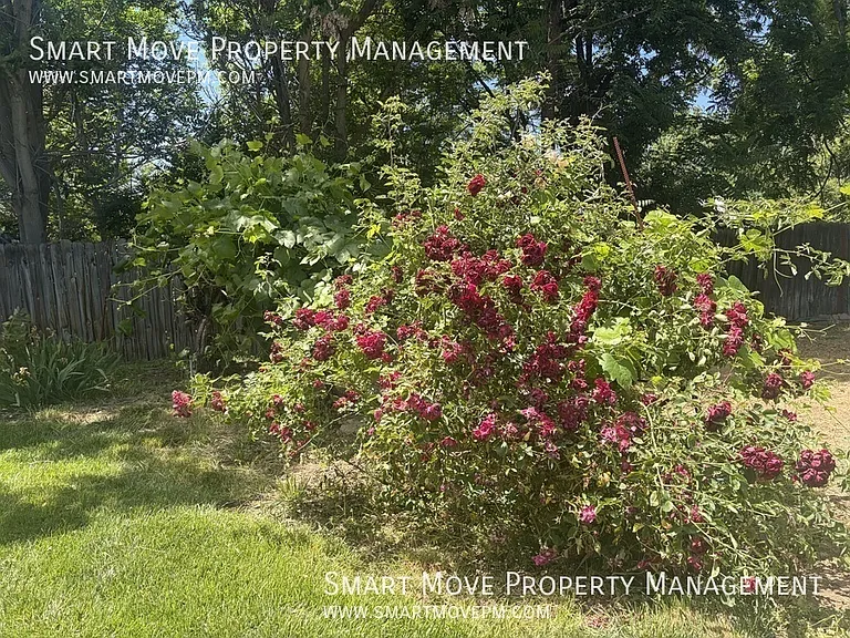 1241 E Ringneck Ct — Photo 20
