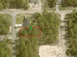 9919 N Santee Ter, Citrus Springs, FL 34433