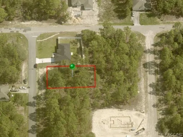 9919 N Santee Ter, Citrus Springs, FL 34433