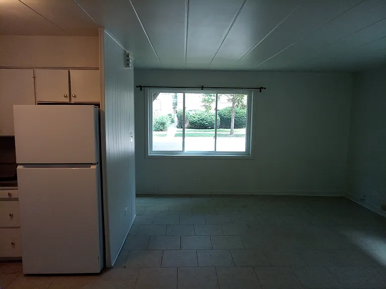 Living room and kitchen