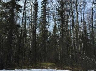 47494 South Backlash Way, Willow, AK 99688