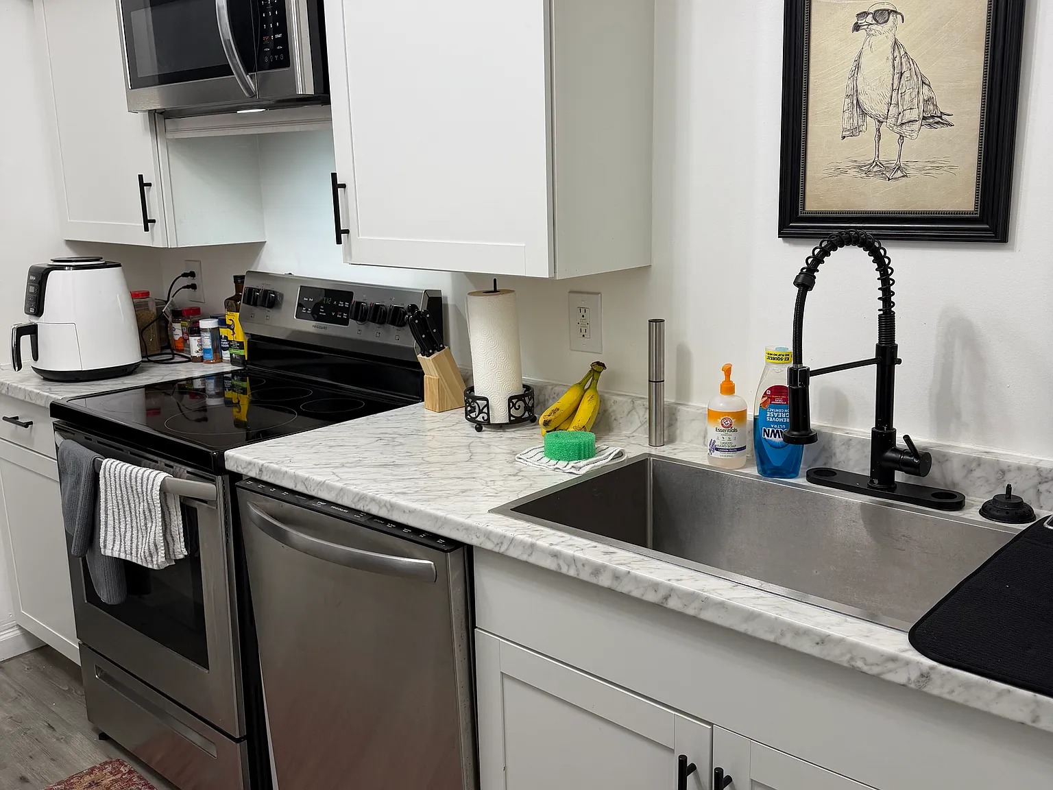 1 bed, 1241 sqft, $900 — Photo 4