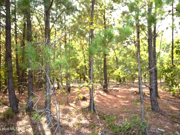 1035 Mill Road, Jackson Springs, NC 27281