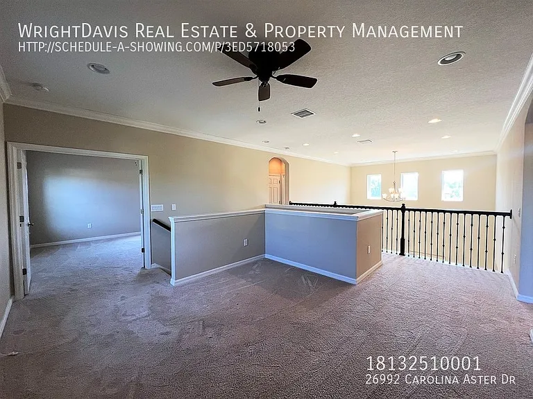 26992 Carolina Aster Dr — Photo 20