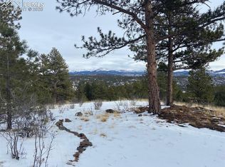 701 Twinkle Rd, Guffey, CO 80820