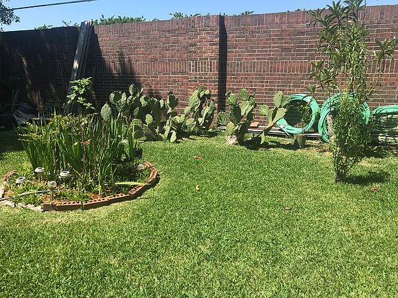                    Back Yard