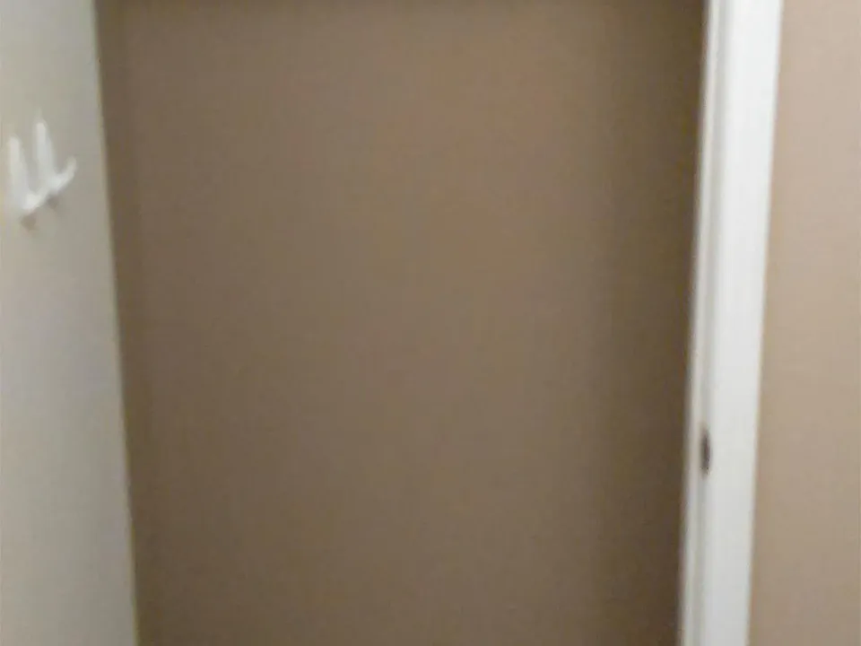 entry closet