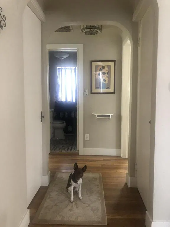 931 Gay St — Photo 3