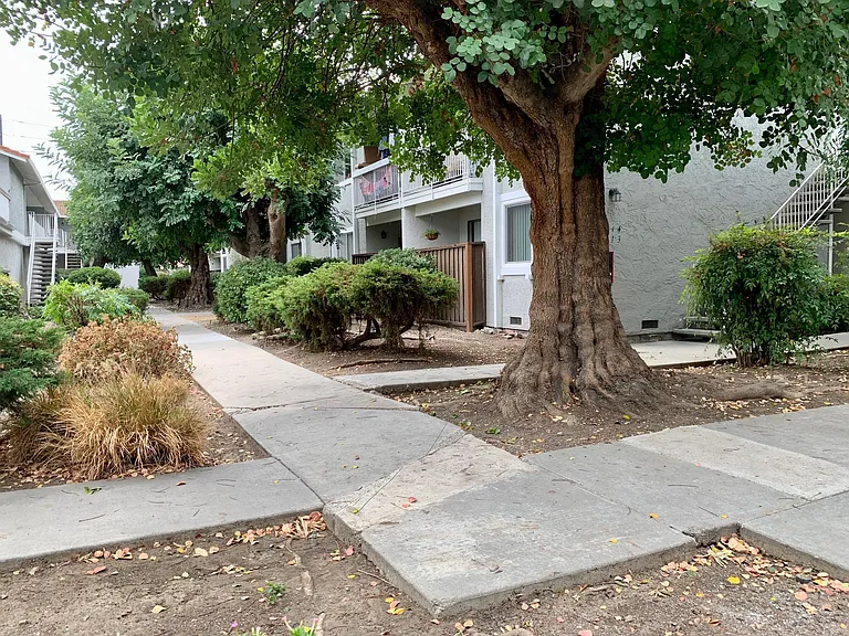 2851 Homestead Rd #200 — Photo 33