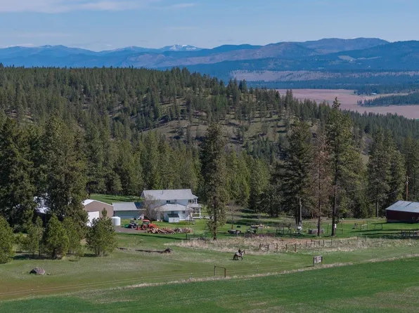 35405 Nye Rd N, Davenport, WA 99122