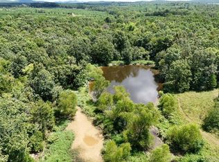 0 Polk Rd #407, Cove, AR 71937