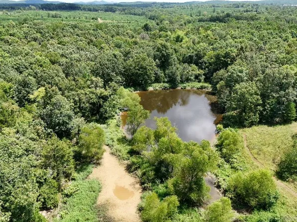 0 Polk Rd #407, Cove, AR 71937