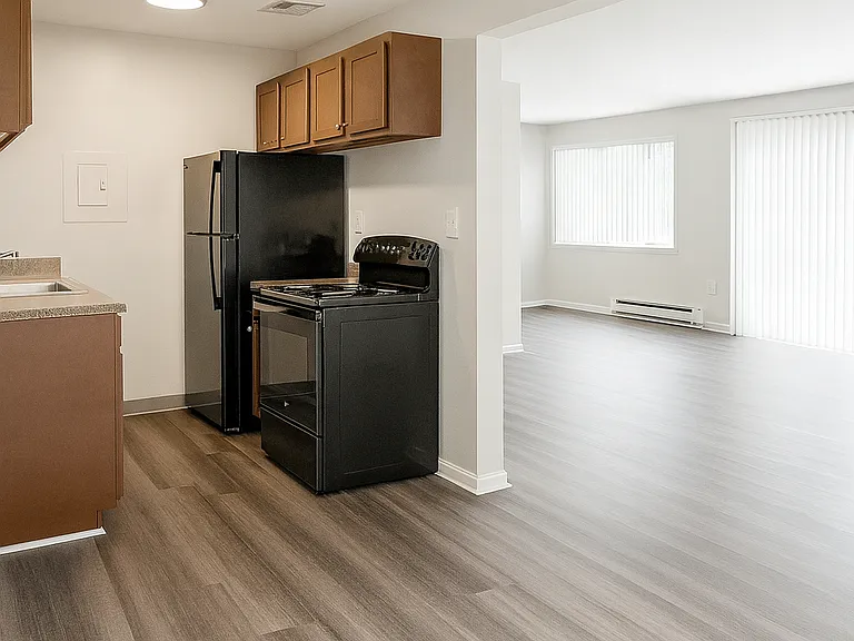 Kitchen and livingroom