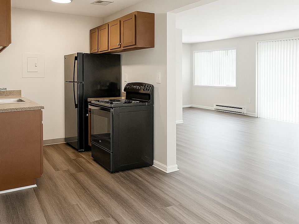 Kitchen and livingroom