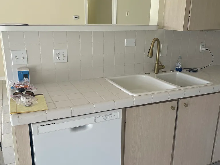 Kitchen - sink and dishwasher
