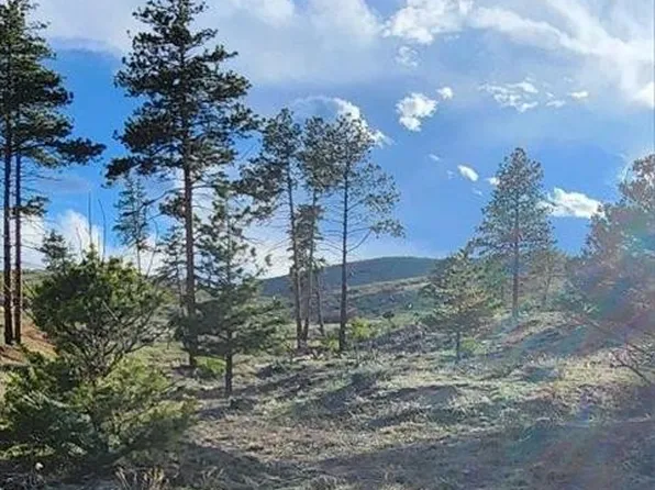 15 Tbd Cir #X, Cotopaxi, CO 81223