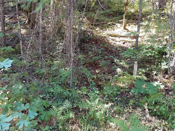 Thompson Creek Rd Lot 205, Selma, OR 97538
