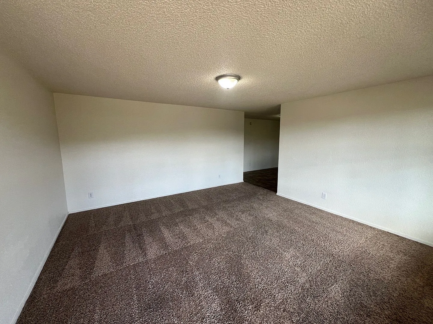 alc01 — Photo 2