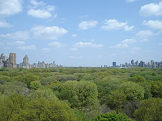 Sold by Saldo Properties