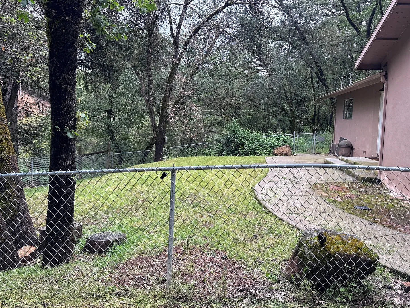 Applegate — Photo 3