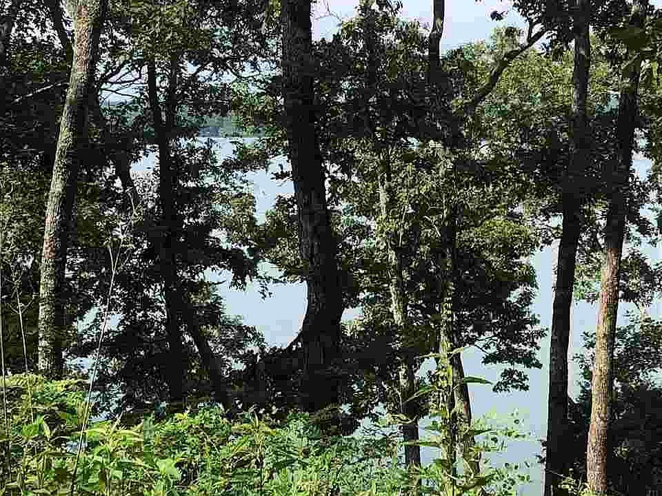 2nd image of Sunnyview