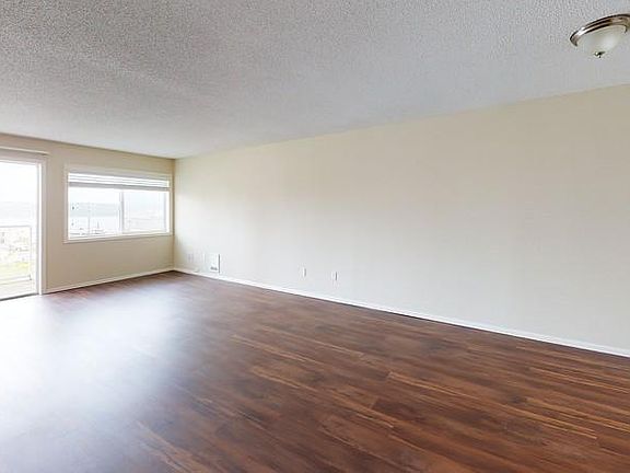 Large and spacious living room