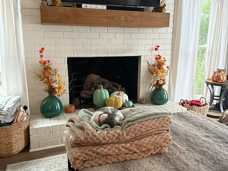 932 Richter Way — Photo 9