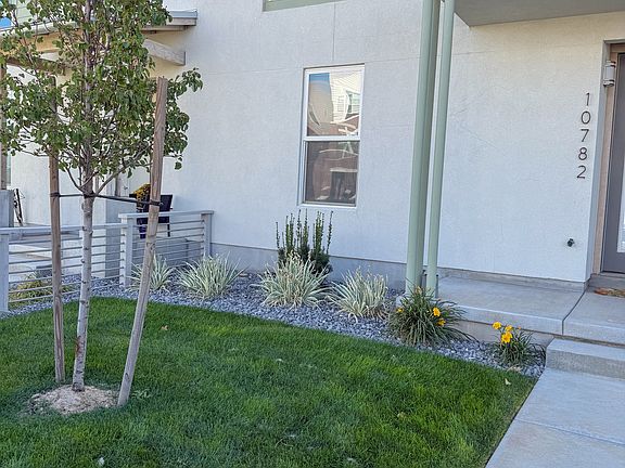 Front Lawn
