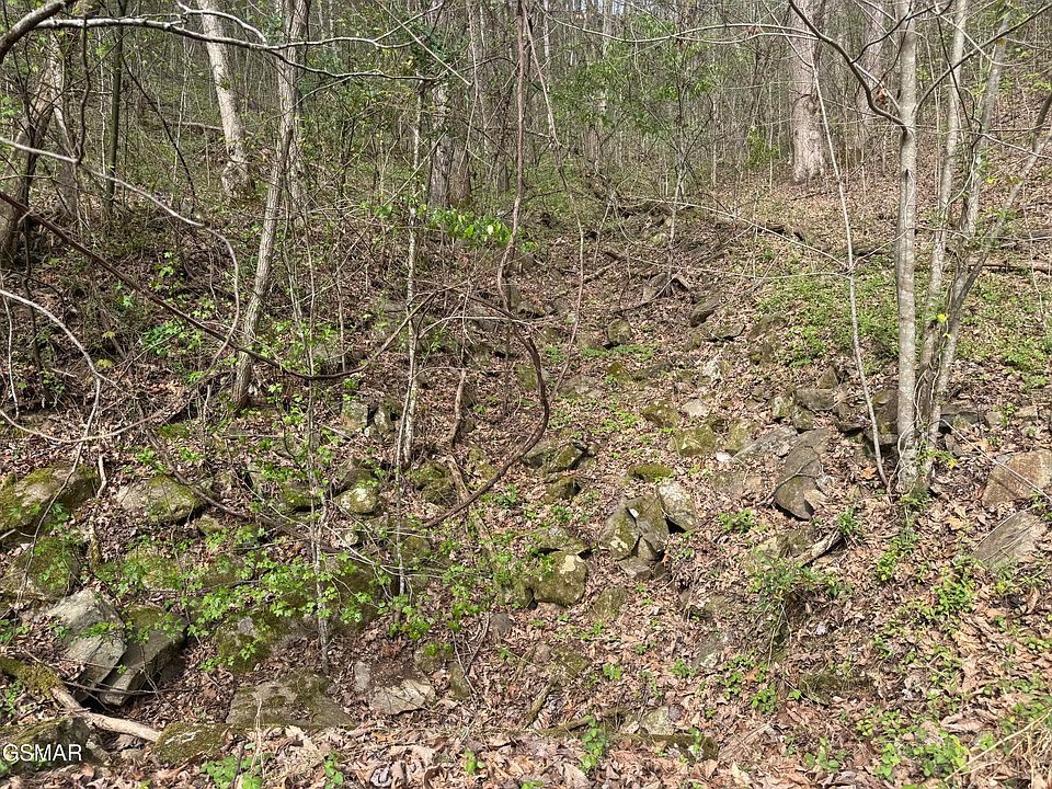 2nd image of LOT 12 Whetstone Rd