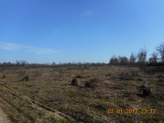 2nd image of 2801 Black Dr