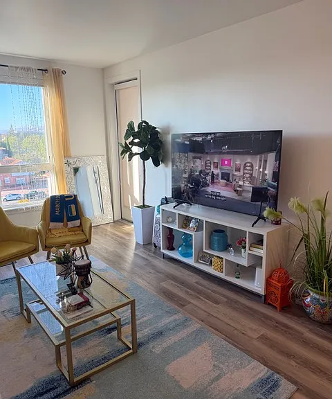 877 S Winchester Blvd #516 — Photo 8