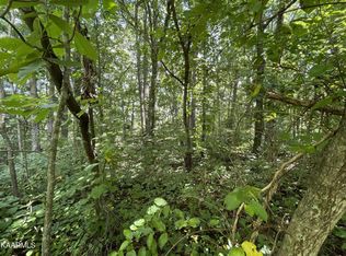 0 Michaels Way LOT 24, Newport, TN 37821